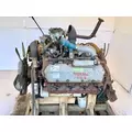 International T444 Engine Assembly thumbnail 2