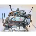 International T444 Engine Assembly thumbnail 4
