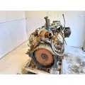 International T444 Engine Assembly thumbnail 6