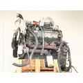 International T444 Engine Assembly thumbnail 3