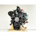 International T444 Engine Assembly thumbnail 6