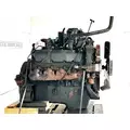 International T444 Engine Assembly thumbnail 5