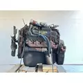International T444 Engine Assembly thumbnail 2
