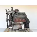 International T444 Engine Assembly thumbnail 4