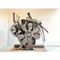 International T444 Engine Assembly thumbnail 6