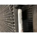 International TERRASTAR Cooling Assembly. (Rad., Cond., ATAAC) thumbnail 4