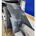 International TERRASTAR Fender Extension thumbnail 1