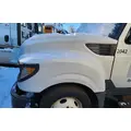 International TERRASTAR Hood thumbnail 5
