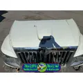 International Terrastar Hood thumbnail 2