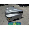 International Terrastar Hood thumbnail 2