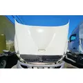 International TranStar 8600 Hood thumbnail 7