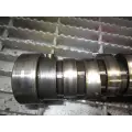 International VT-365 6.0L Camshaft thumbnail 8