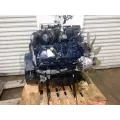 International VT-365 6.0L Engine Assembly thumbnail 4