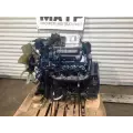 International VT-365 6.0L Engine Assembly thumbnail 5