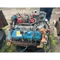 International VT-365 6.0L Engine Assembly thumbnail 9