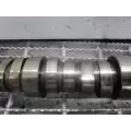 International VT365 Camshaft thumbnail 6