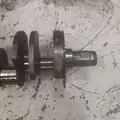 International VT365 Crankshaft thumbnail 2