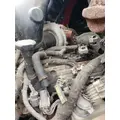 International VT365 Engine Assembly thumbnail 4