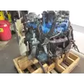 International VT365 Engine Assembly thumbnail 8