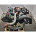 International VT365 Engine Assembly thumbnail 2