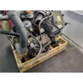 International VT365 Engine Assembly thumbnail 7