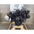 International VT365 Engine Assembly thumbnail 3