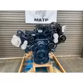 International VT365 Engine Assembly thumbnail 1