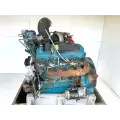 International VT365 Engine Assembly thumbnail 1