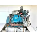 International VT365 Engine Assembly thumbnail 5