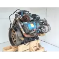 International VT365 Engine Assembly thumbnail 5