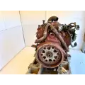 International VT365 Engine Assembly thumbnail 6