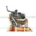 International VT365 Engine Assembly thumbnail 1