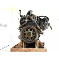 International VT365 Engine Assembly thumbnail 6