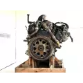 International VT365 Engine Assembly thumbnail 6