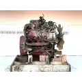 International VT365 Engine Assembly thumbnail 4