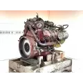 International VT365 Engine Assembly thumbnail 5