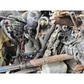 International VT365 Engine Assembly thumbnail 1
