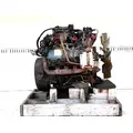 International VT365 Engine Assembly thumbnail 4