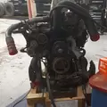 International VT365 Engine Assembly thumbnail 4