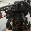 International VT365 Engine Assembly thumbnail 5