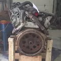 International VT365 Engine Assembly thumbnail 7