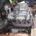 International VT365 Engine Assembly thumbnail 8