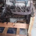 International VT365 Engine Assembly thumbnail 9