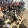 International VT365 Engine Assembly thumbnail 4