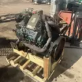 International VT365 Engine Assembly thumbnail 6
