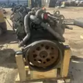 International VT365 Engine Assembly thumbnail 7