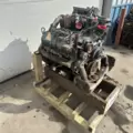 International VT365 Engine Assembly thumbnail 3