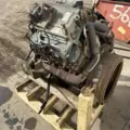 International VT365 Engine Assembly thumbnail 5