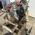 International VT365 Engine Assembly thumbnail 7
