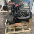 International VT365 Engine Assembly thumbnail 16